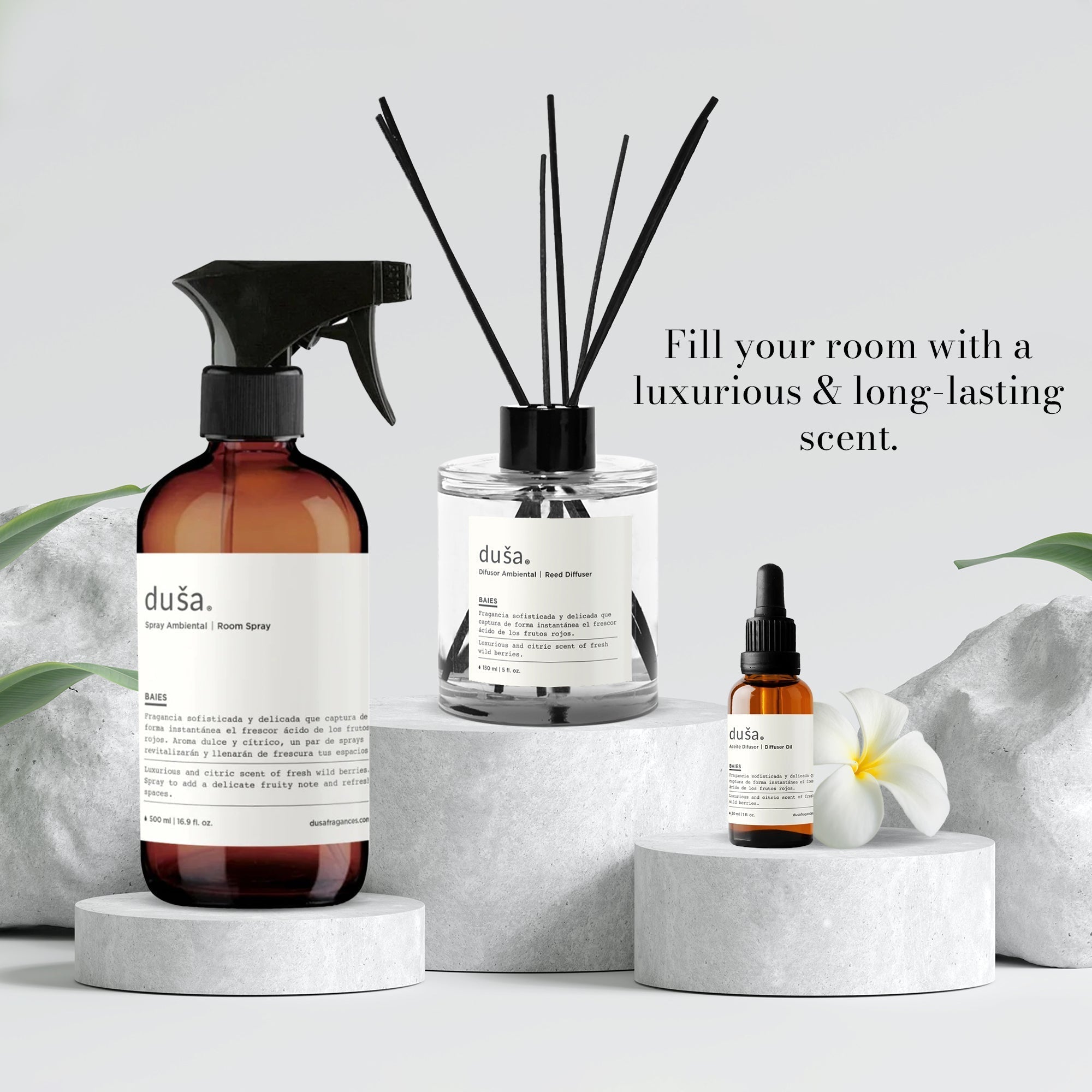 CEDAR BERGAMOTE - 5 FL OZ REED DIFFUSER - Bluepandahomedecor