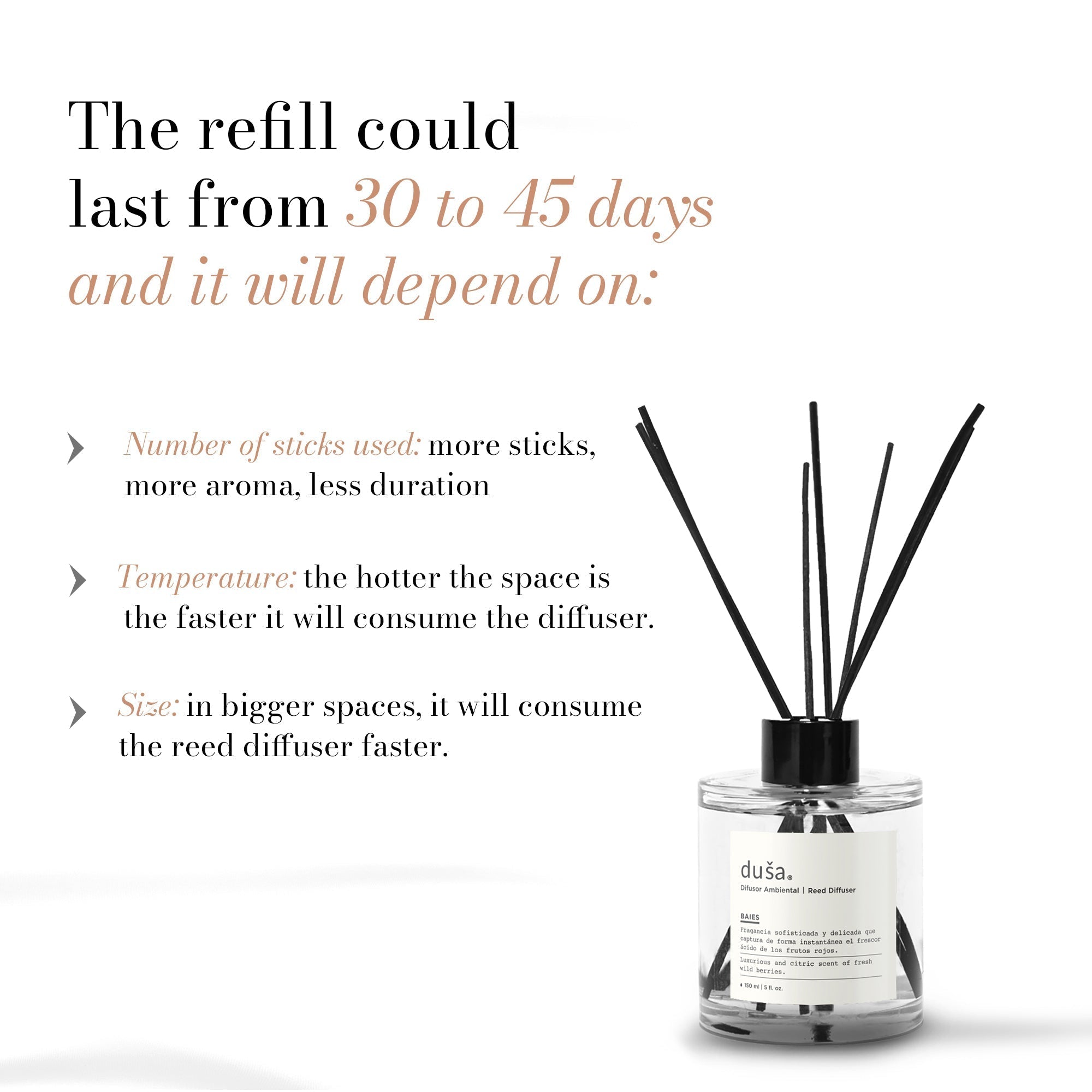 CEDAR BERGAMOTE - 5 FL OZ REED DIFFUSER - Bluepandahomedecor