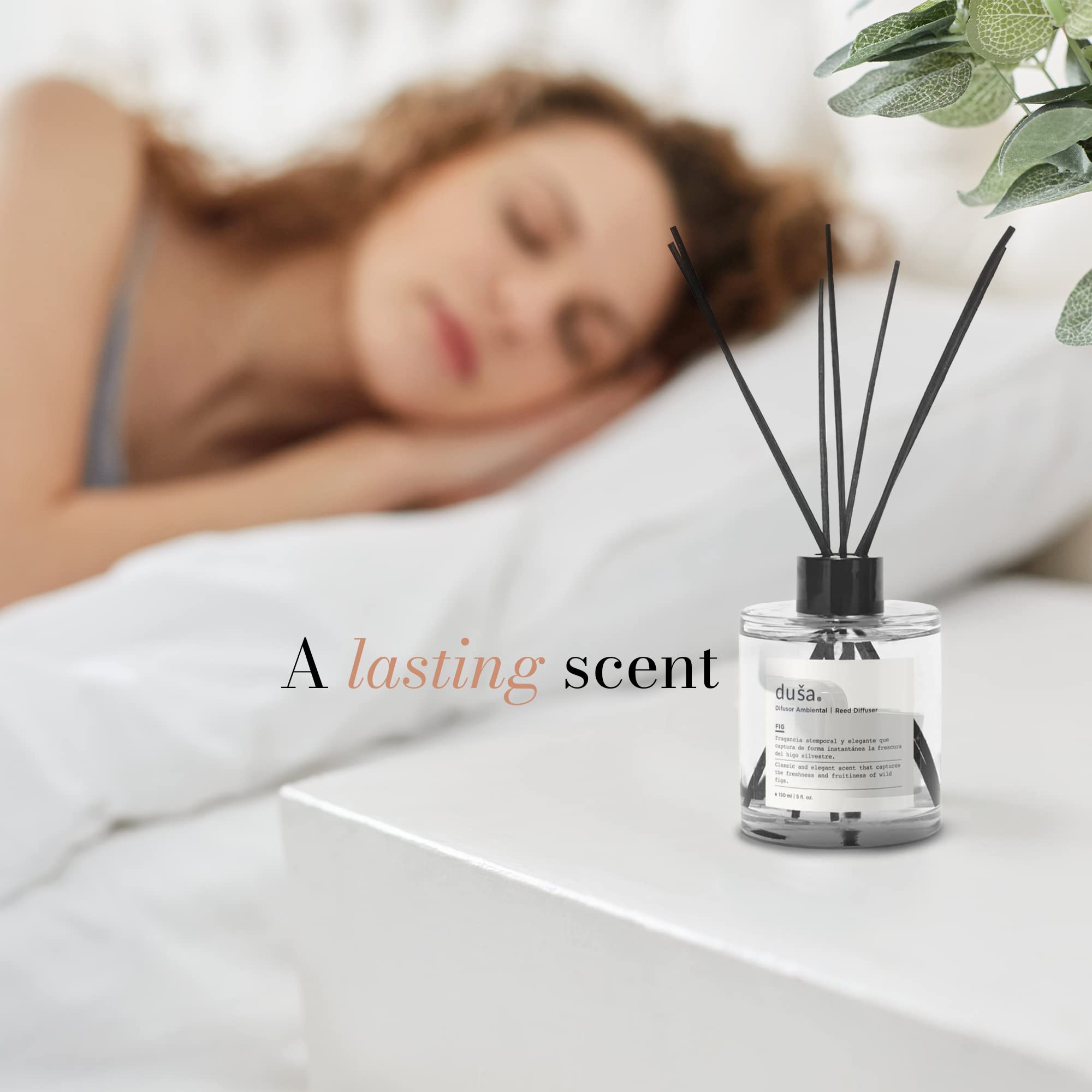 CEDAR BERGAMOTE - 5 FL OZ REED DIFFUSER - Bluepandahomedecor