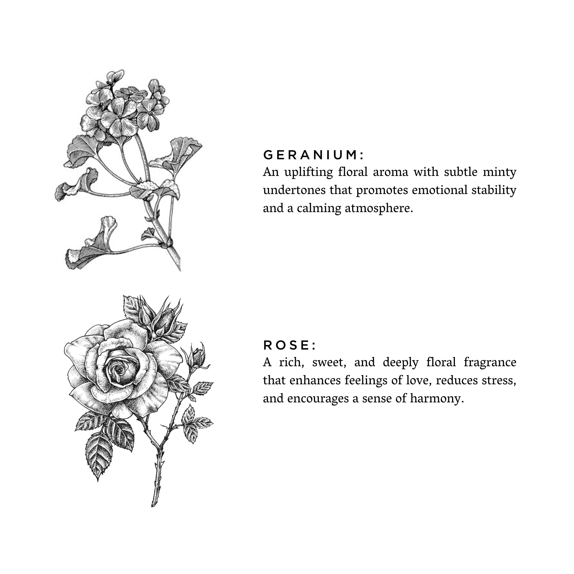 Geranium + Rose - Bluepandahomedecor