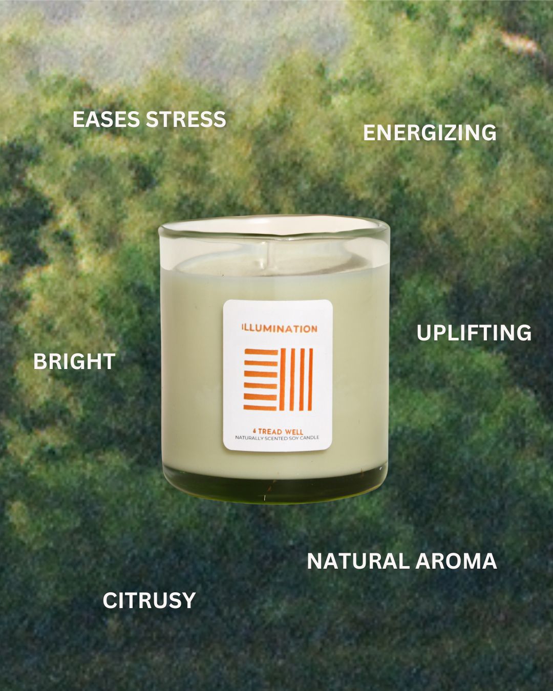 Natural Candle - Illumination - Bluepandahomedecor