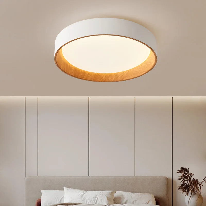 Nordic Minimalism LED Ceiling Chandelier for Living Dining Room Balcony Double Bedroom Lamp Home Decor Indoor Lighting Fixture
