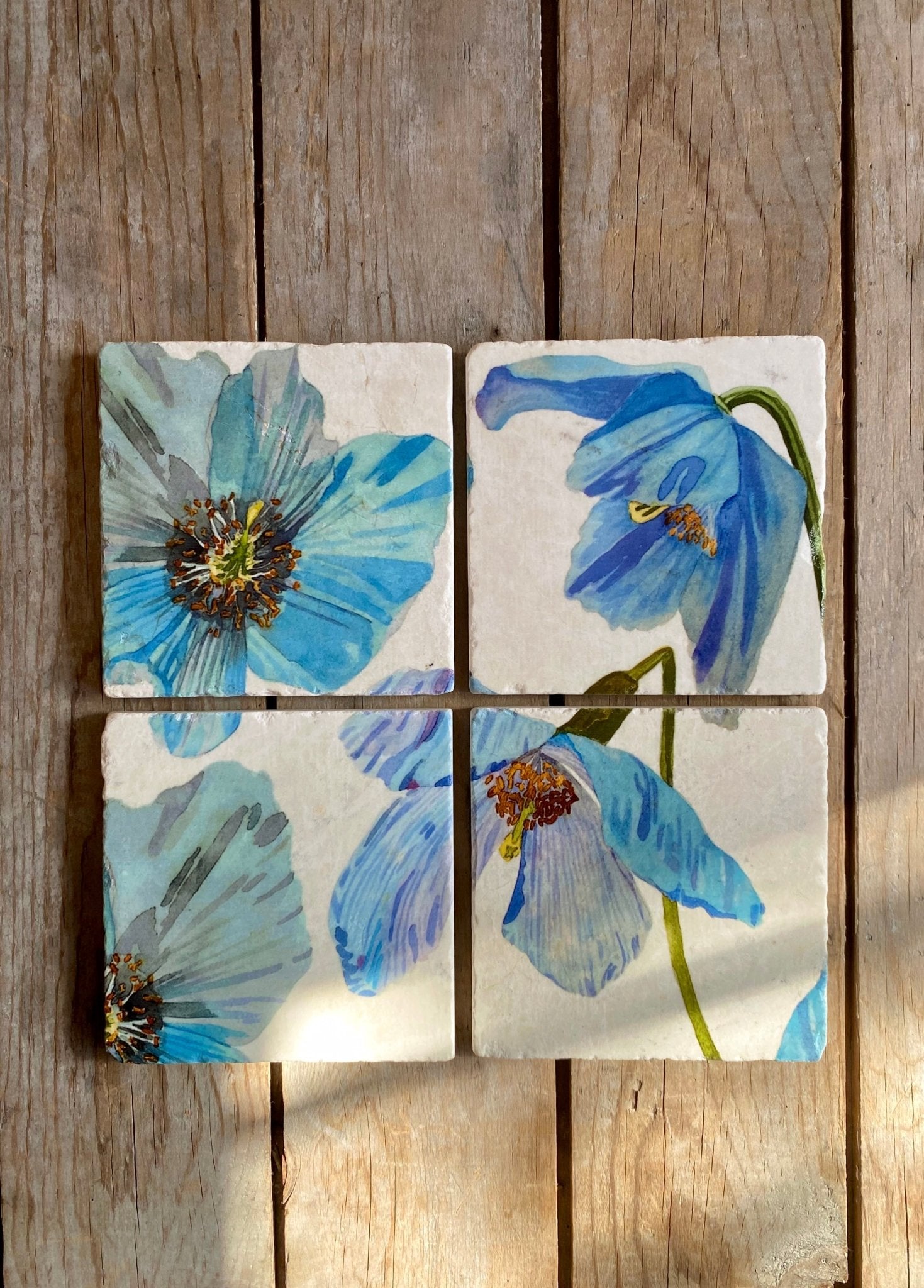 Coaster Set: Himalayan Blue Poppies on Ecru - Bluepandahomedecor